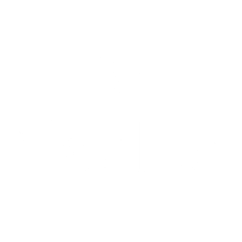 Saelas.com